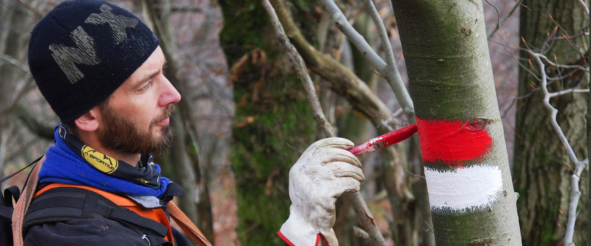 Daniele segnalazione sentiero vernice albero