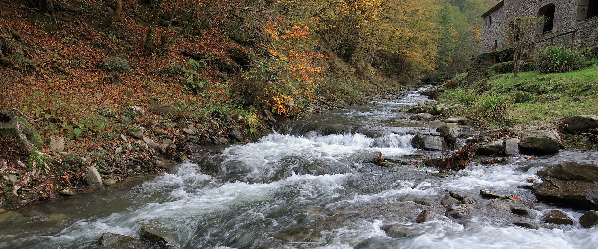 Fiume nel bosco d'autunno nella Riserva Naturale Acquerino Cantagallo