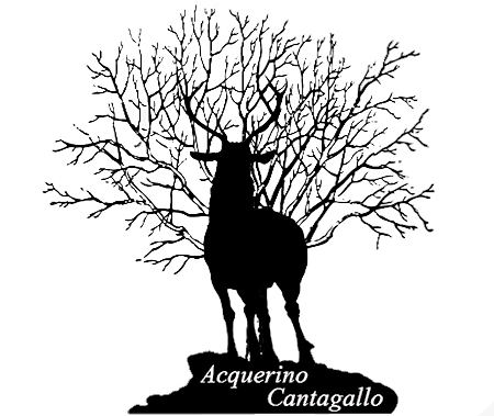 Associazione Acquerino Cantagallo logo cervo