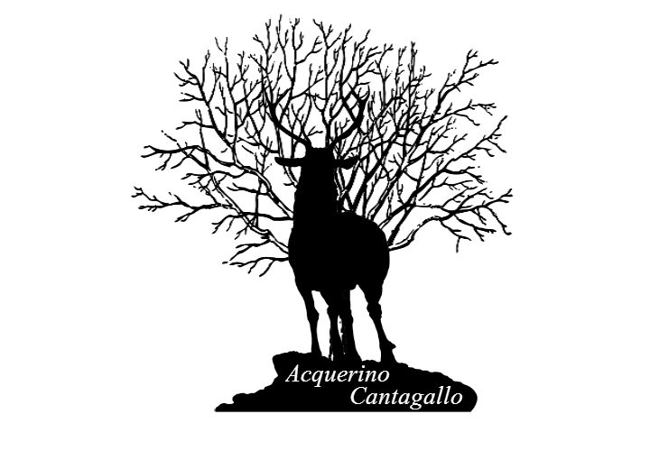 Associazione Acquerino Cantagallo logo cervo