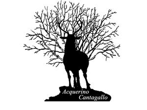 Acquerino Cantagallo logo cervo