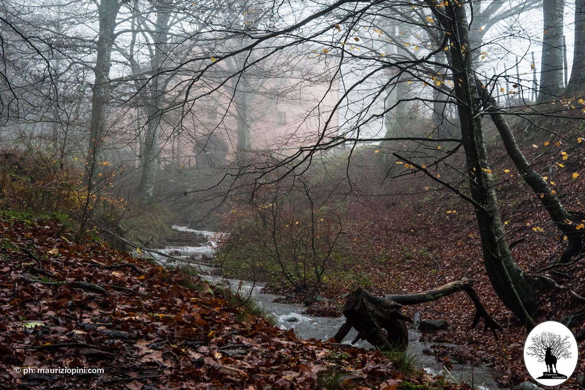 Cascina di Spedaletto river view