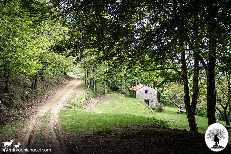 Trail besides Cerliano