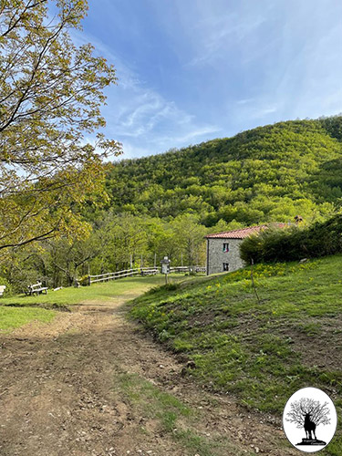 Trail to Rifugio Le Cave