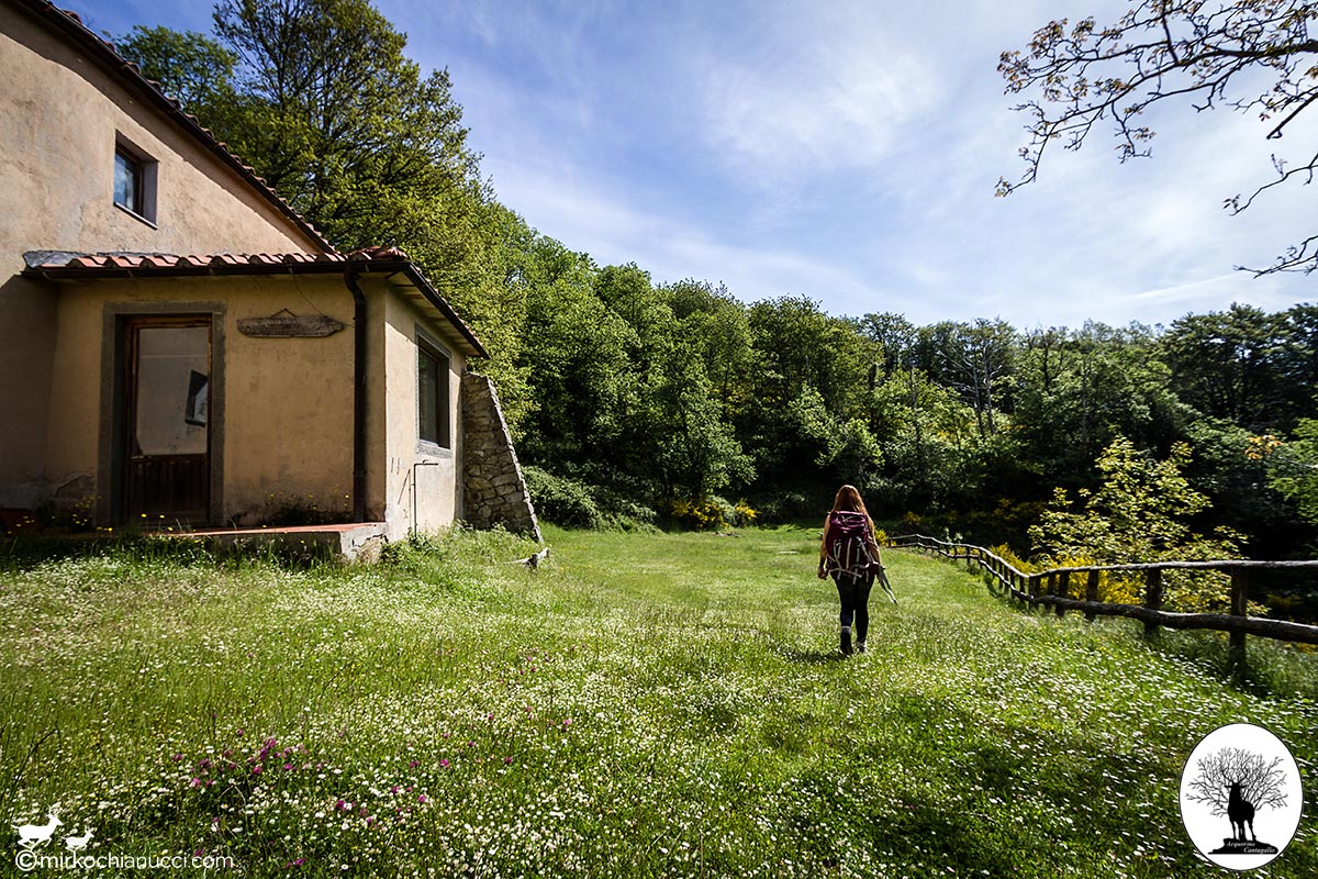 Woman walking in the field of Cascina di Vespaio