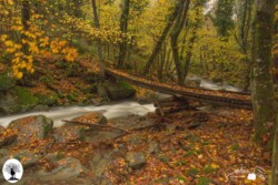 Riserva Naturale Acquerino Cantagallo in autunno con ponticino