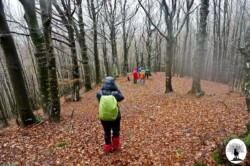 Camminata nella Riserva con nebbia
