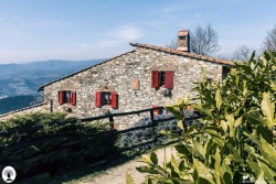 Casa Bastone vista da dietro un cespuglio