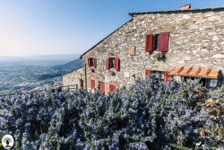 Casa Bastone piante fiorite