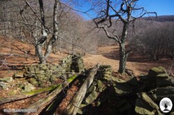 Case Lavacchio rovine