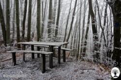 Tavolo e panchine con neve
