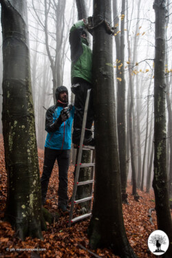 Allestimento fototrappola