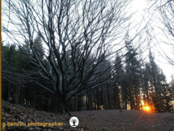 Faggione di Luogomano sole alba