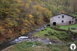 Fiume con cascina nella Riserva Naturale Acquerino Cantagallo