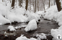 Fiume con neve d'inverno