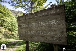 Cartello foresta demaniale regionale Acquerino Luogomano