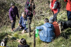 Gianluca annaffia un albero