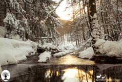 Alba sul fiume Limentra con neve in inverno