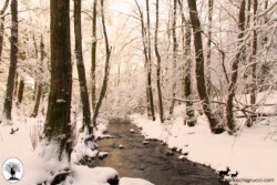 Limentra in inverno di mattina con neve