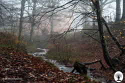 Limentrino Cascina Spedaletto nebbia
