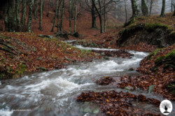 Limentrino fiume movimento acqua
