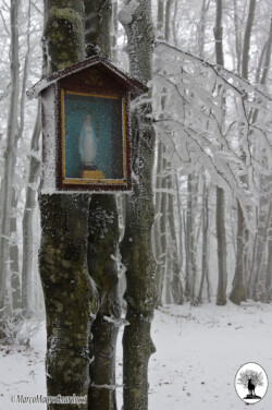 Neve e ghiaccio su Monte Bucciana