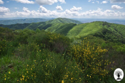 Poggio Alto paesaggio