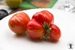 Pomodori Tasca di Montone della Valbisenzio