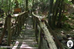 Ponticino di legno sentiero