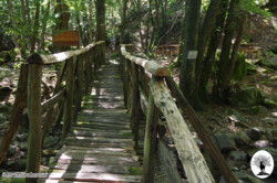 Ponticino di legno sentiero