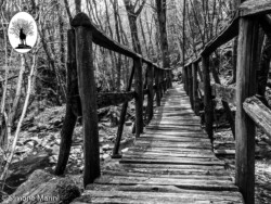 Ponticino di legno in bianco e nero