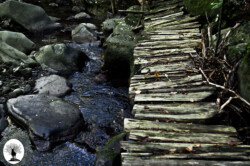 Ponticino di legno sul fiume