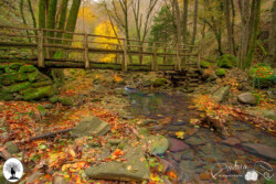 Ponticino di legno su fiume in autunno