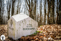 Segnale pietra Monte Bucciana