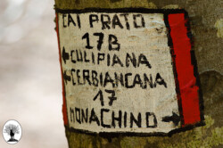 Segnale CAI 17B e 17