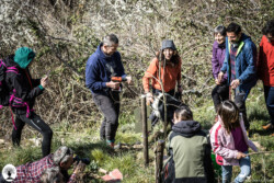 Valentina e Daniele piantano un albero di sorbo